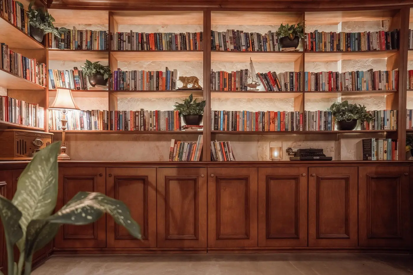 Interior de Café Saturno: estanterías de madera repletas de libros bajo luz cálida